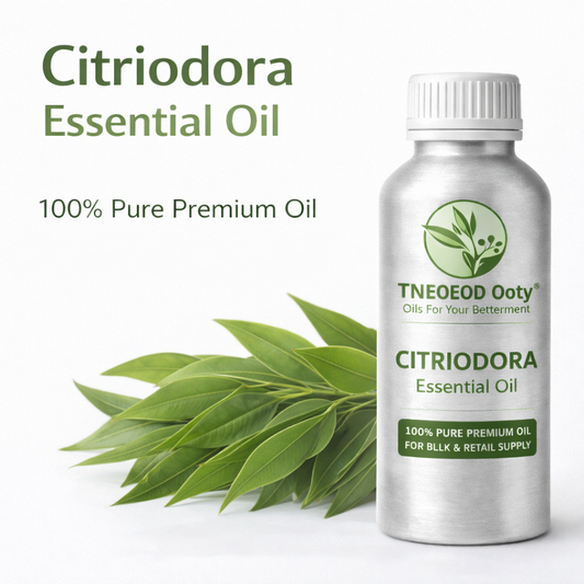 citriodora eucalyptus oil