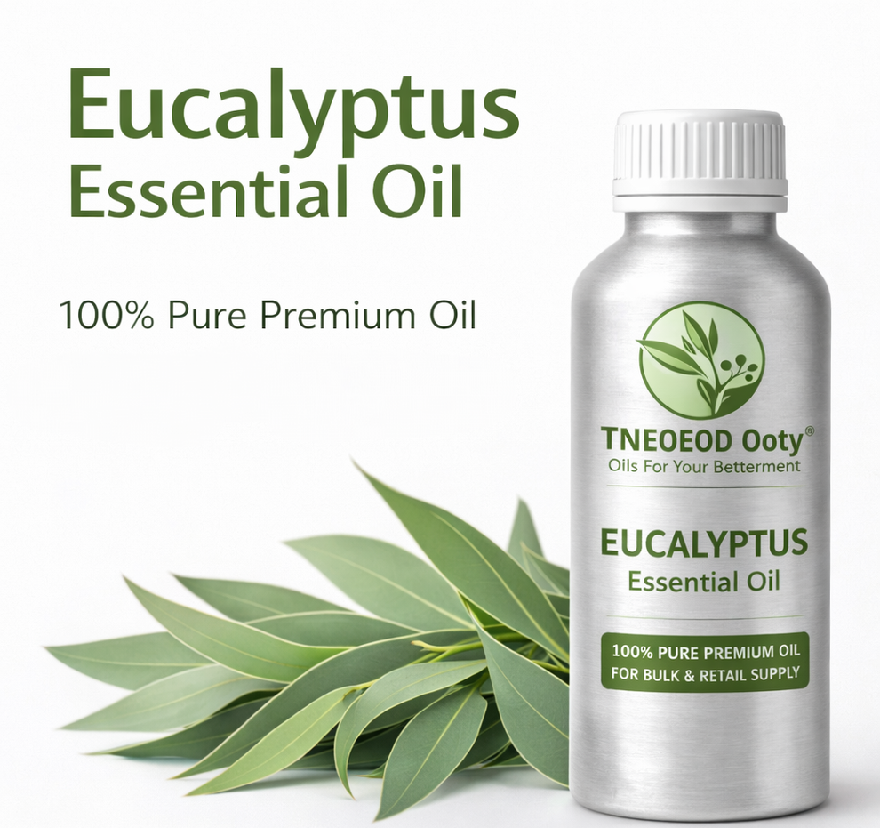 Eucalyptus oil