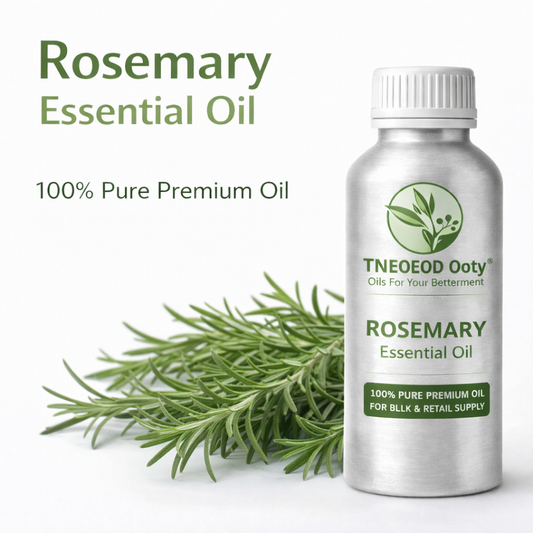 Rosemary Essential Oil