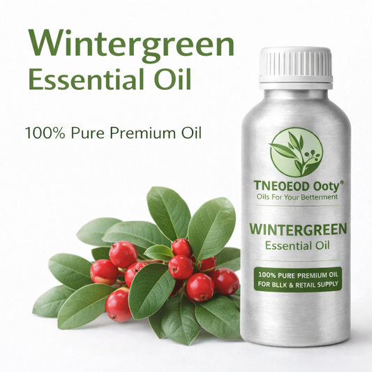 Gaultheria/winter green oil